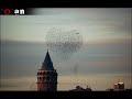 Pinhani - Bir anda Pinhani - Bir anda