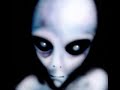 Alien Species 2 - Greys and Reptilians