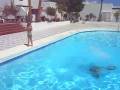 videos de Flippin' Fantastic!