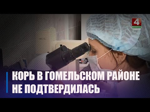 На Гомельщине под подозрением на корь был лишь 1 случай, который не подтвердился видео