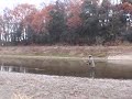 SHOOTING SPEY CAST