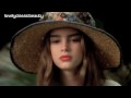  - MovieZen Video