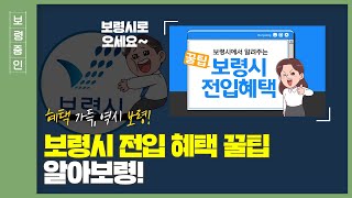 보령줌인ㅣ보령시 전입 혜택 꿀팁 알아보령!