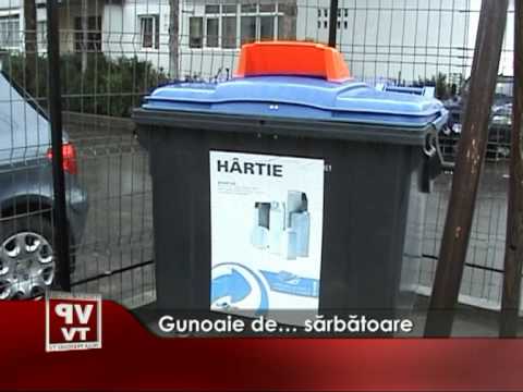 Gunoaie de… sărbătoare!