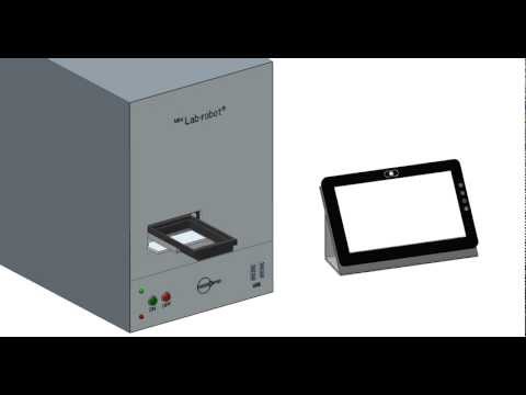 how to perform immunoprecipitation
