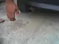 Corsinha Cortando Giro bravooo