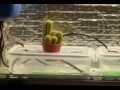 PC GROWROOM \"PRO\" From Hg-Hydroponics.co.uk PC GROWROOM \"PRO\" From Hg-Hydroponics.co.uk