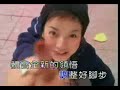 ?????- ?? (Vicky Zhao) ?????- ?? (Vicky Zhao)