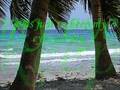 healing by Jed Madela