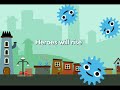 Rolando for iPhone and iPod touch - Launching December 18th on the Apple App Store