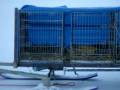 videos de husky free training rovaniemi