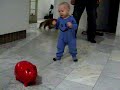 G�sli a� setja � baukinn