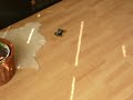 Losi Micro-T 1:36 Losi Micro-T 1:36