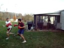 Backyard Boxing Time