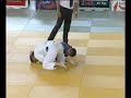 Judo Tre Torri 2008 - Magomedov - Cnudde