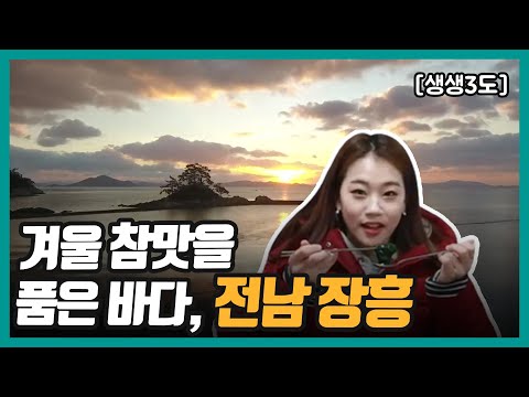 [생생3도] 겨울 참맛을 품은 바다, 전남 장흥 | KBS