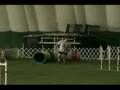 videos de clint beaver agility 91308