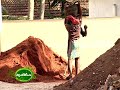 A documentary outlining the method demonstration of establishing lawns in gardens