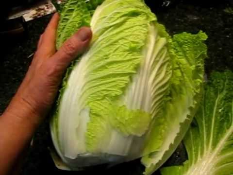 how to harvest napa cabbage