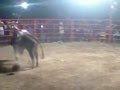 TORO EL MARIHUANO vs CORY DE RIO POBLANO