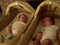 IDENTICOS TRILLIZOS IDENTICAL TRIPLETS TWINS GEMELOS