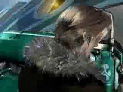 freddy chozn-regresare