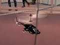 flying airwolf / ラジコンエアーウルフ