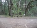 ReallyBigWorld.com Mountain Bikes Sonoma Mountain