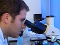 Dr. James Berenson on Treating Multiple Myeloma with Arsenic