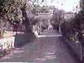 driving through kalami corfu.