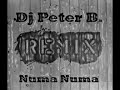 Dj Peter B.- Numa numa Dj Peter B.- Numa numa