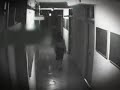 Apparition Lady