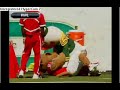 Funny mascot brawl