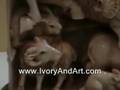 Mammoth Ivory The 12 zodiac animales verical