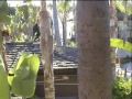 DCD Dead Can Dance 2005 San Diego Warm up Saltarello