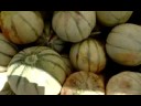 Marché Provençal Provence Melons Goûter Projestes