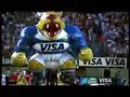 Los pumas