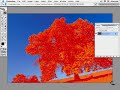 photoshop-tutorial-removing-unwanted-elements.html