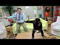 Samba de Amigo: Man Vs. Monkey Samba de Amigo: Man Vs. Monkey