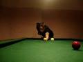 Billiards opening shot Radek Losman