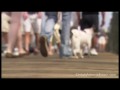 Certain Adverse Events - Part 4 of 6