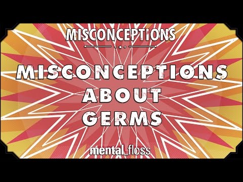 Misconceptions about Germs and Hygiene - mental_floss on YouTube (Ep. 12)