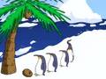 Pierre Guex Animation
