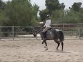 Carmen dressage lesson 1