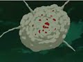 deidara vs gaara