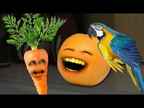 realannoyingorange - What's more annoying than Orange? Orange with a parrot. AO TV Show on iTunes: http://bit.ly/AOTViTUNES AO CHRISTMAS ALBUM: http://bit.ly/AOXmas MERCH: AO TOY...