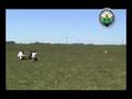 Cohete lanzado en la jornada CANSAT 2008