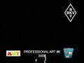 Professional Art 06 - 5006