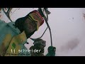 Watch Video