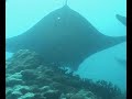 Palau und Yap allgemein